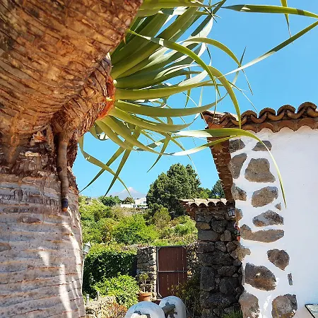 Ciruelos